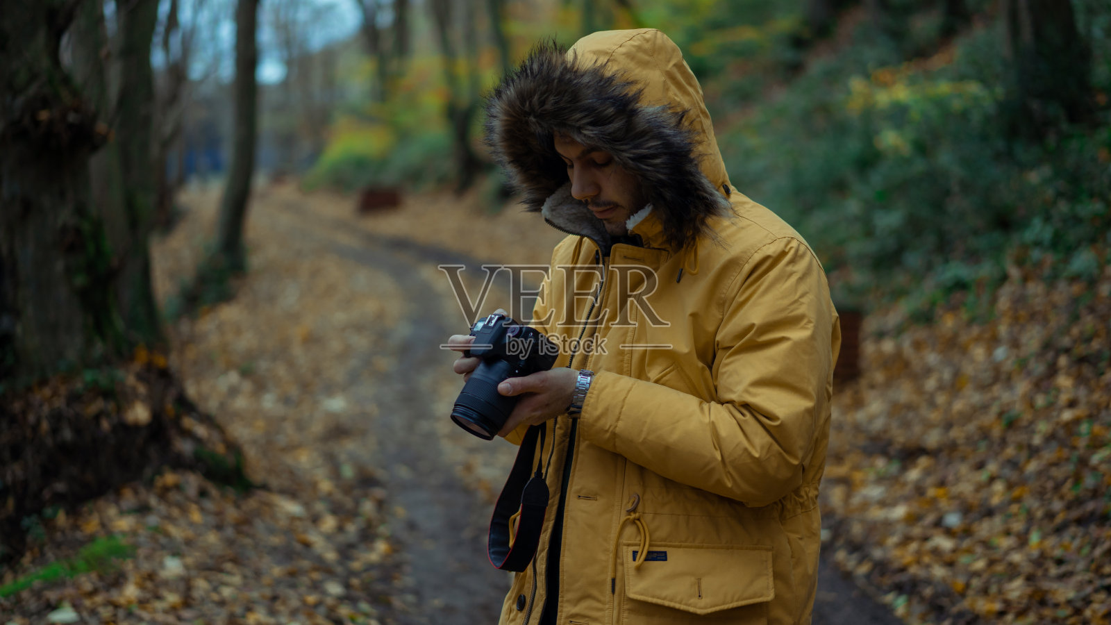 在森林里拍照的人照片摄影图片