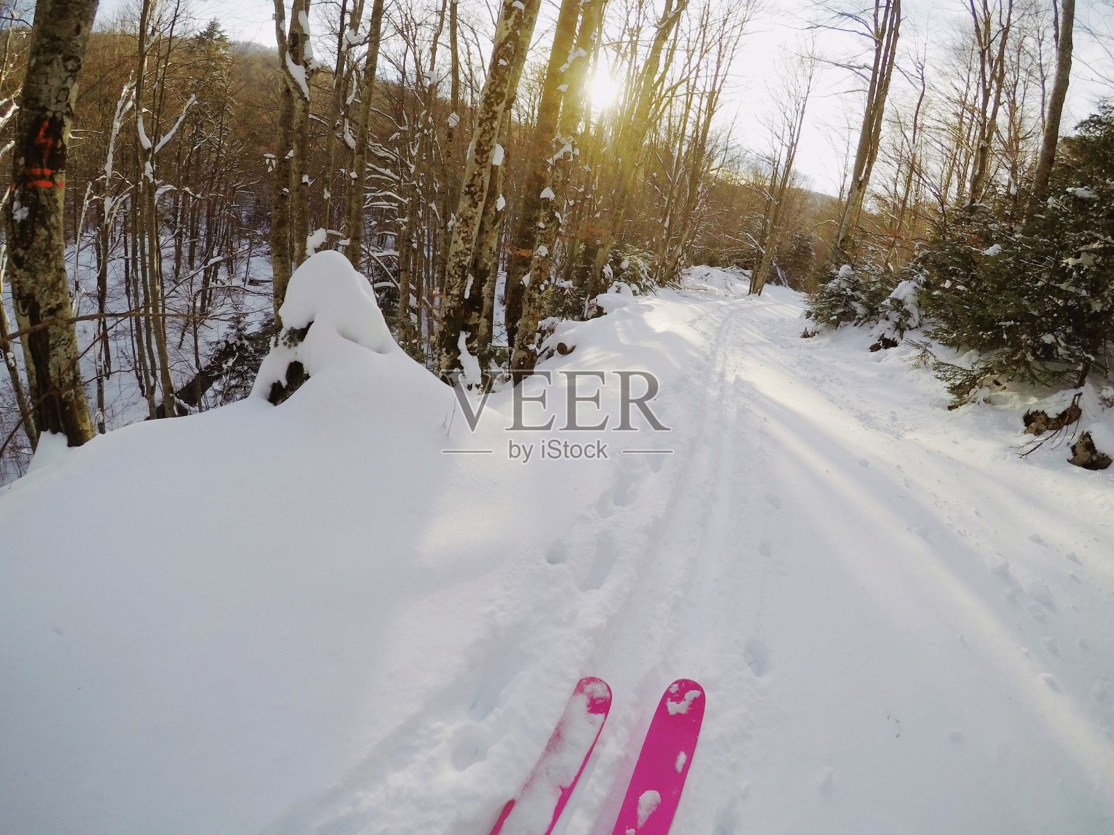 滑雪者和滑雪板夫妇在森林里骑马照片摄影图片