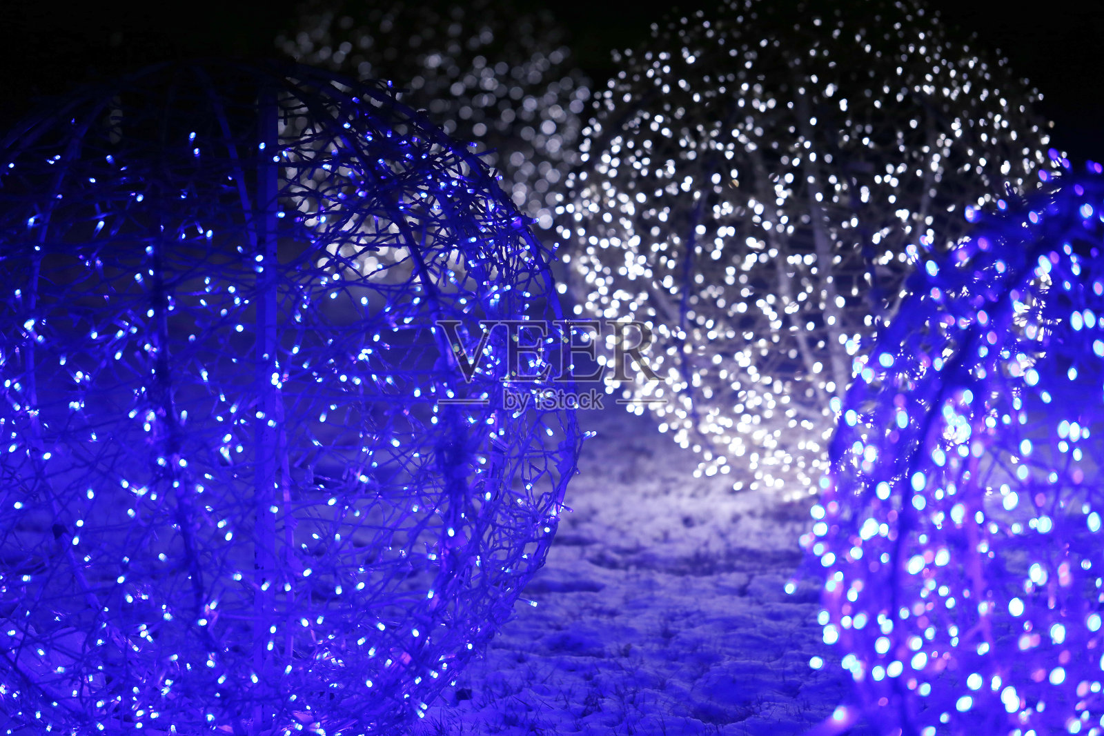 照片美丽的微距蓝色明亮照明照片摄影图片