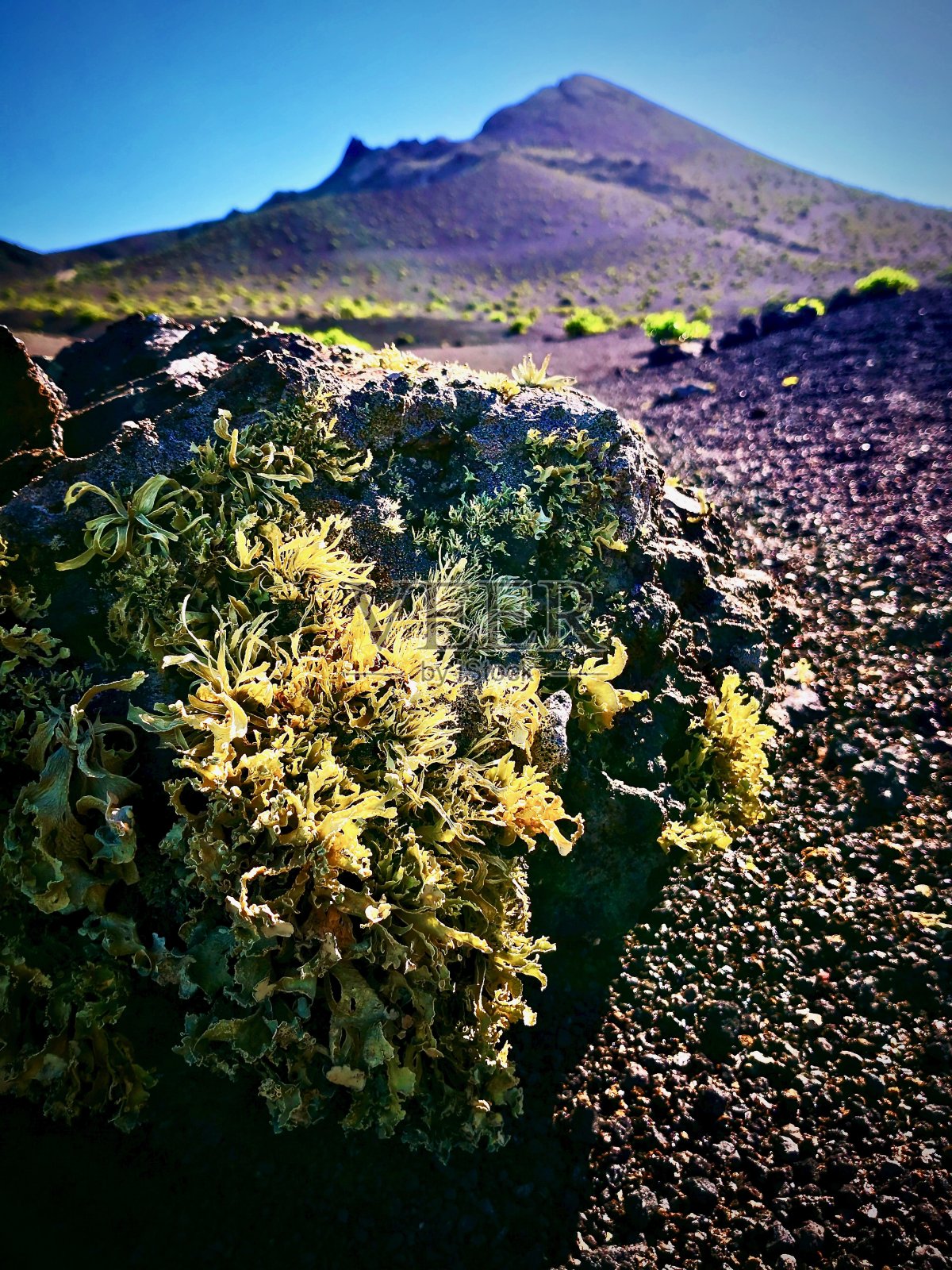 生活重新开始…照片摄影图片