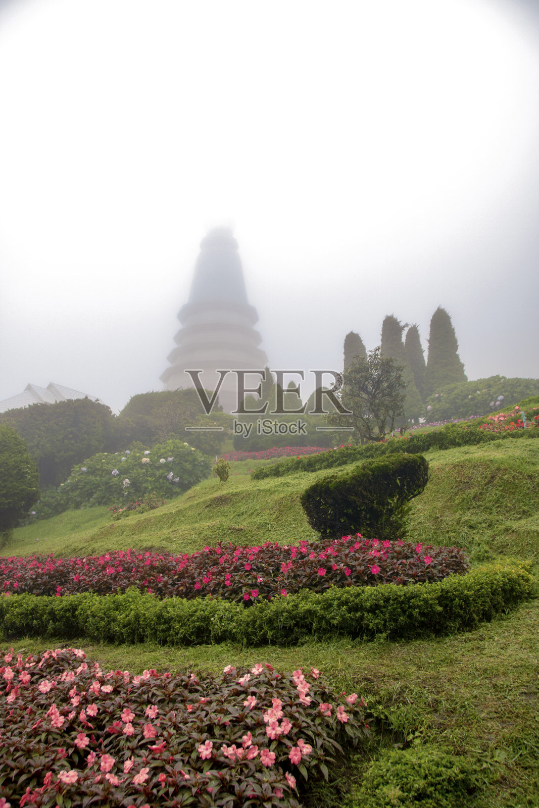 两个伊萨农照片摄影图片