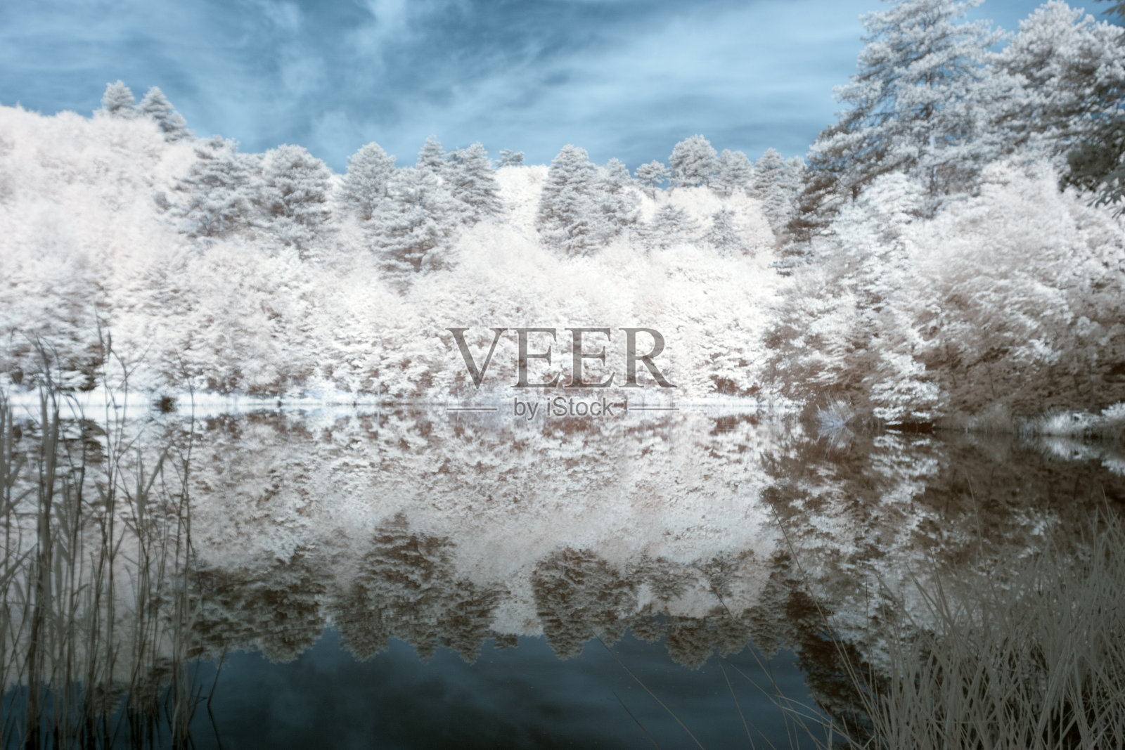 超现实的红外景观照片摄影图片