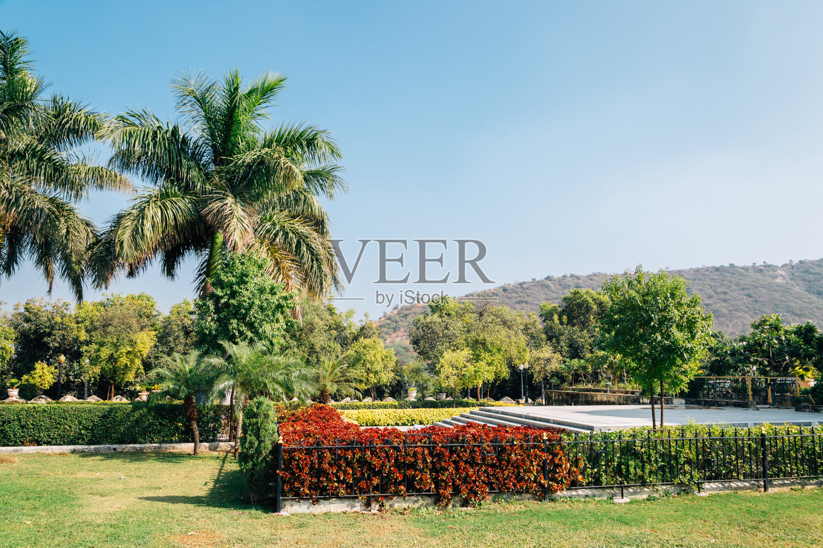 印度乌代普尔Pichola湖附近的热带树木公园照片摄影图片