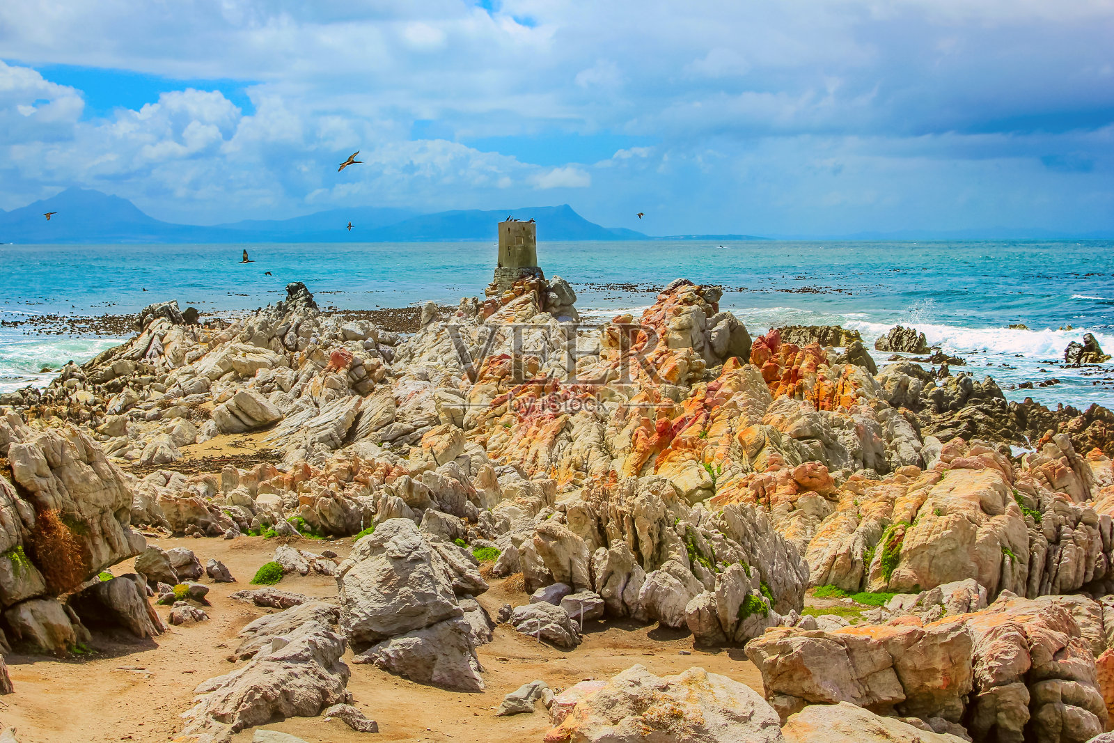 鸬鹚的点照片摄影图片