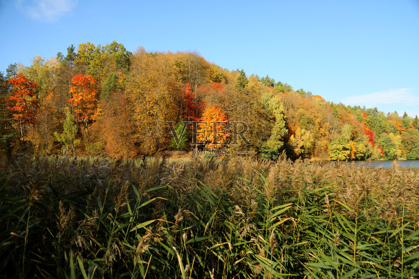 秋天的风景有丰富多彩的森林和湖泊照片摄影图片