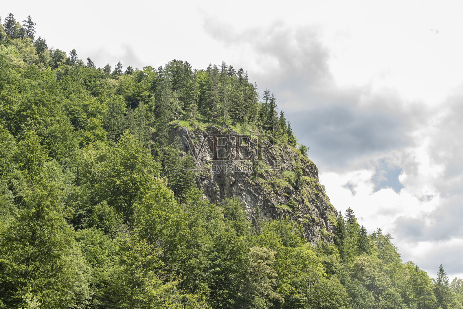 风景Vaser山谷,Bucovina, Mocanita蒸汽火车,罗马尼亚照片摄影图片
