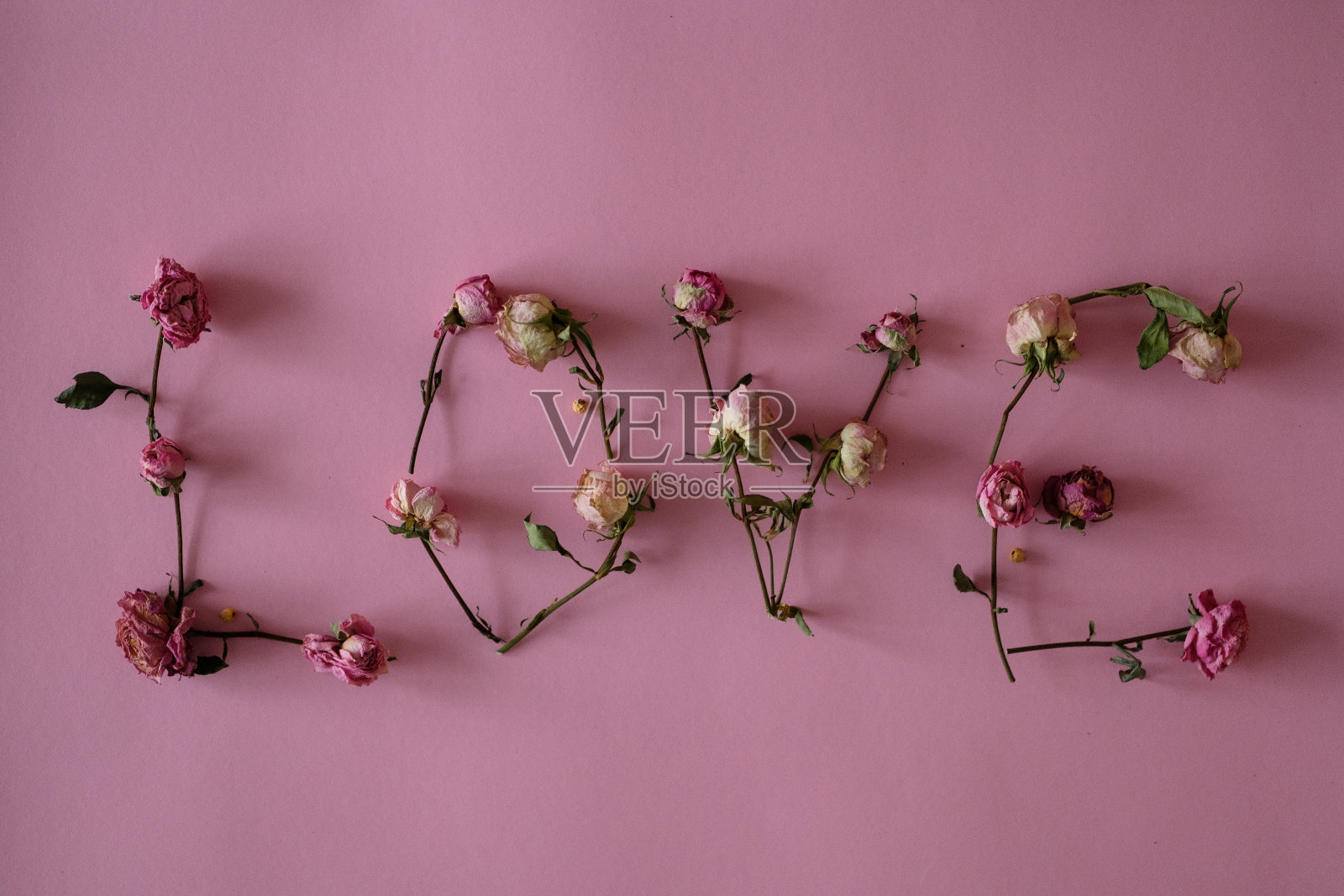 粉红色背景上的题词:爱照片摄影图片