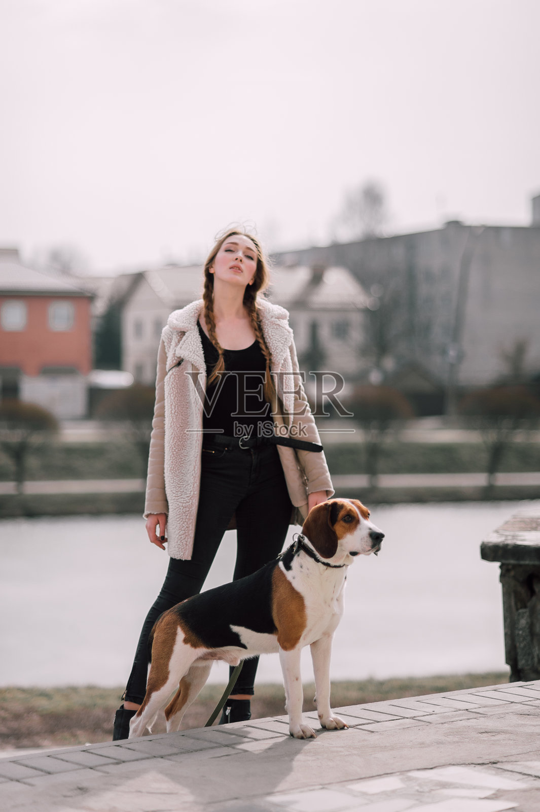 年轻时髦的女孩和她的宠物爱沙尼亚猎犬在公园外面玩耍和玩耍。照片摄影图片