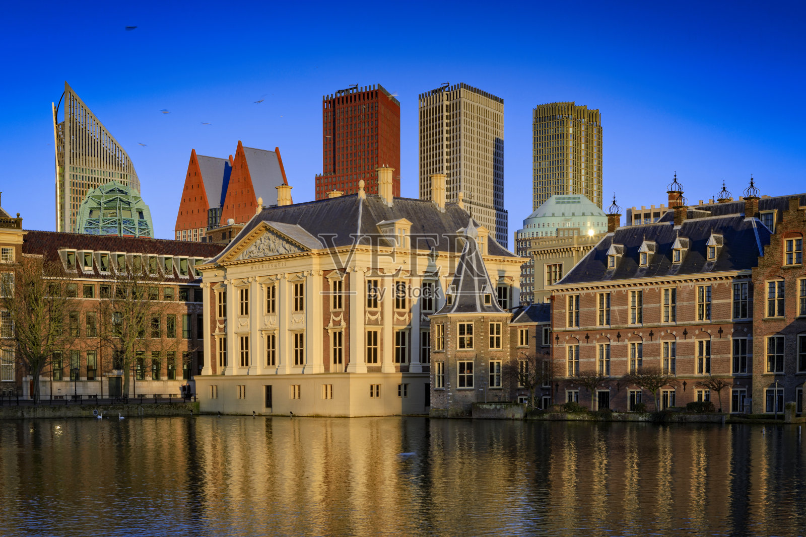 荷兰议会大楼沿海牙霍夫维维尔照片摄影图片