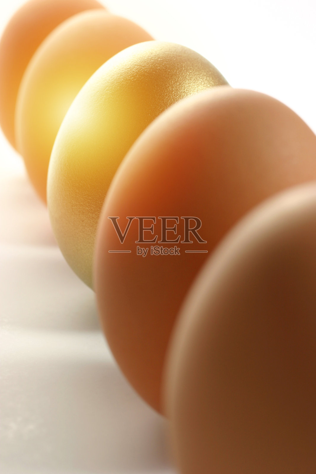 一排普通鸡蛋中的金蛋照片摄影图片