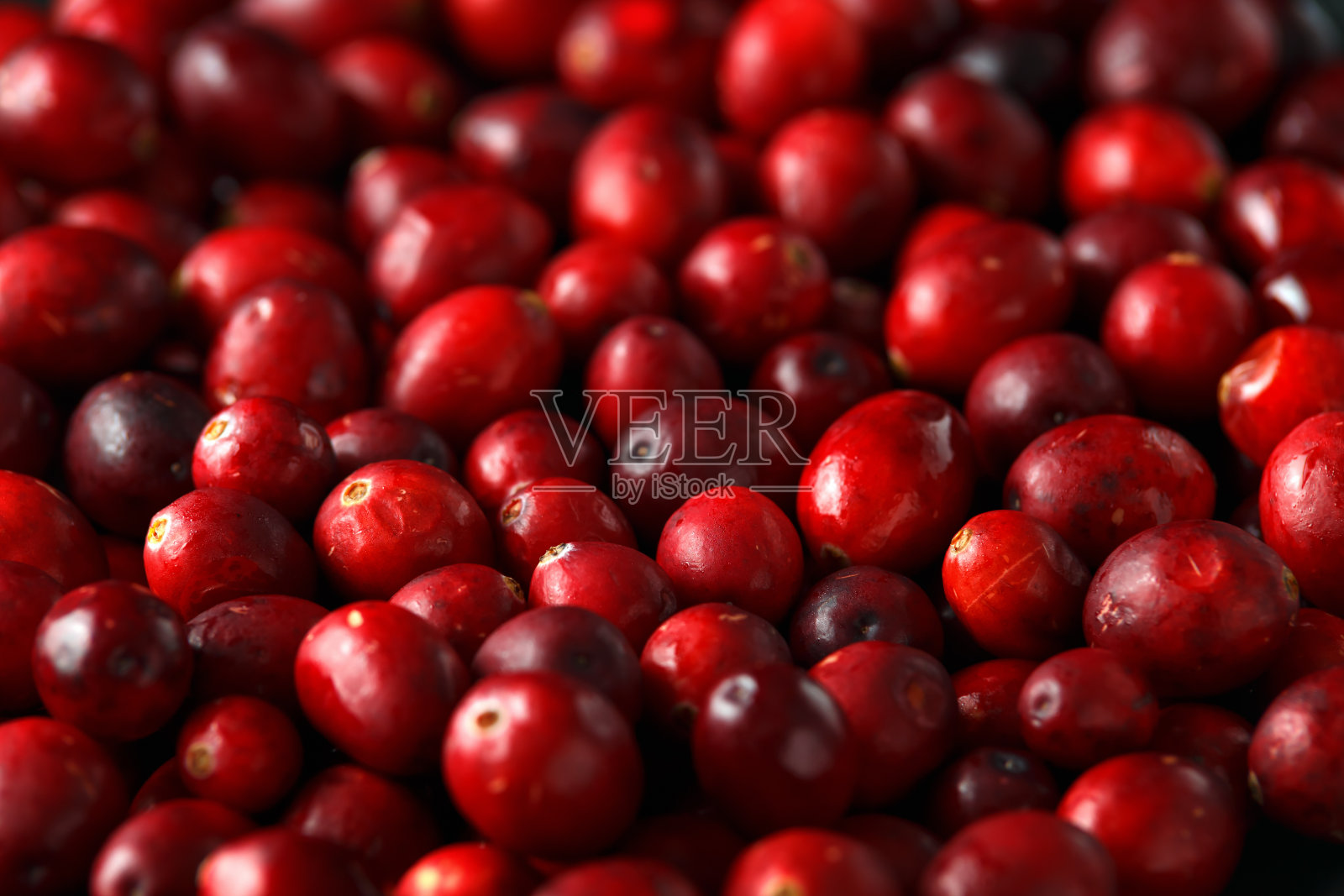 新鲜美味的蔓越莓背景,质地。关闭了。选择的重点。照片摄影图片