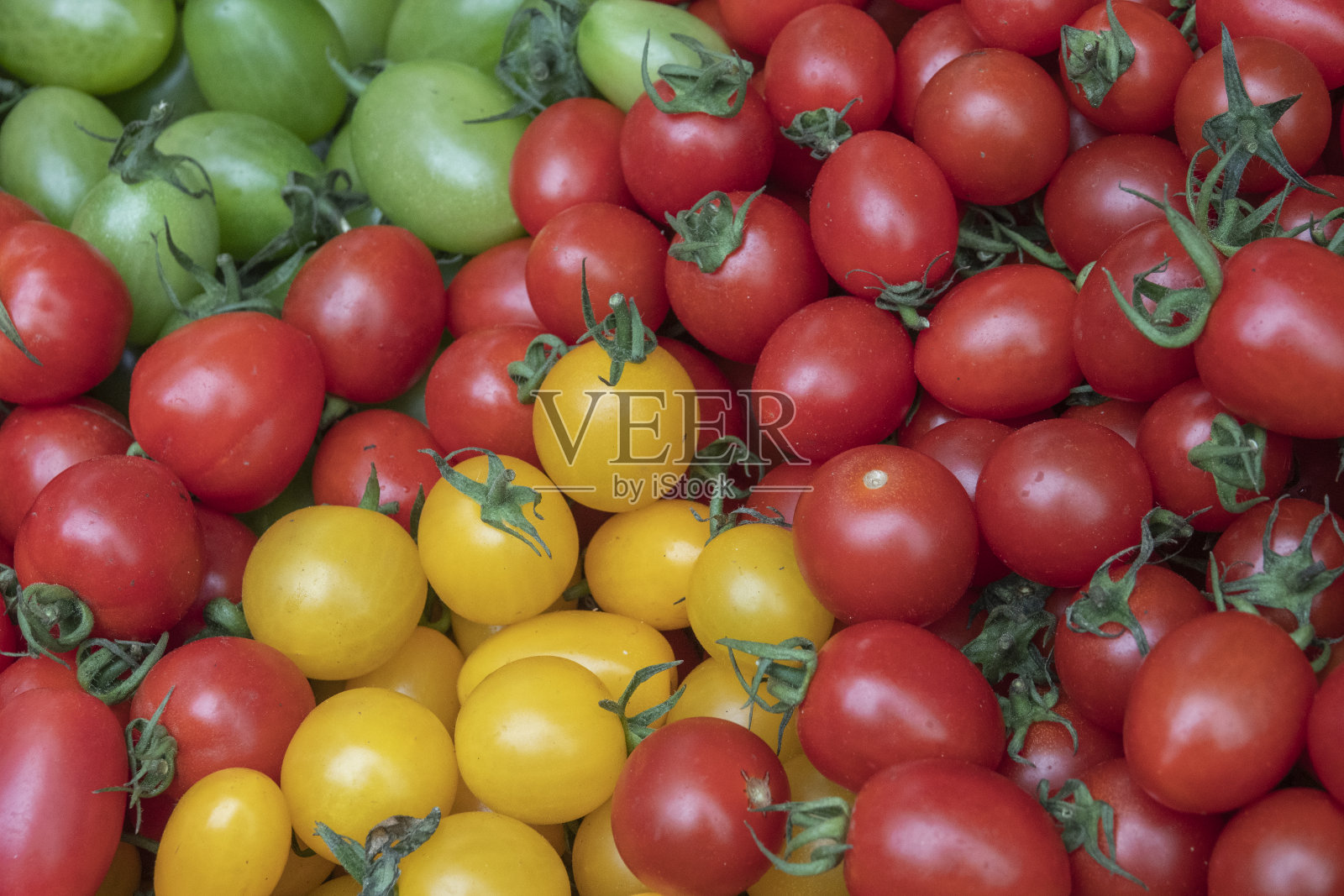 樱桃番茄照片摄影图片