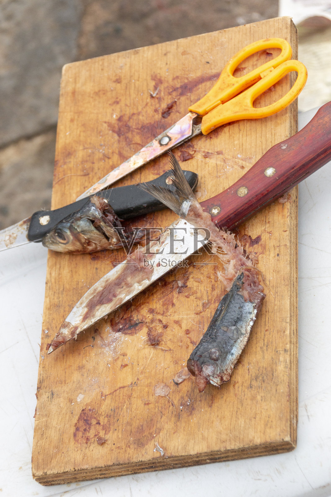 渔夫把沙丁鱼饵放在一块木板上照片摄影图片