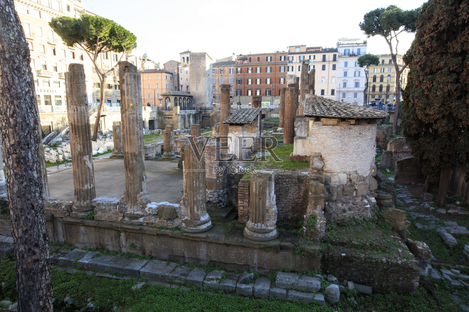 拉果在阿根廷托雷照片摄影图片