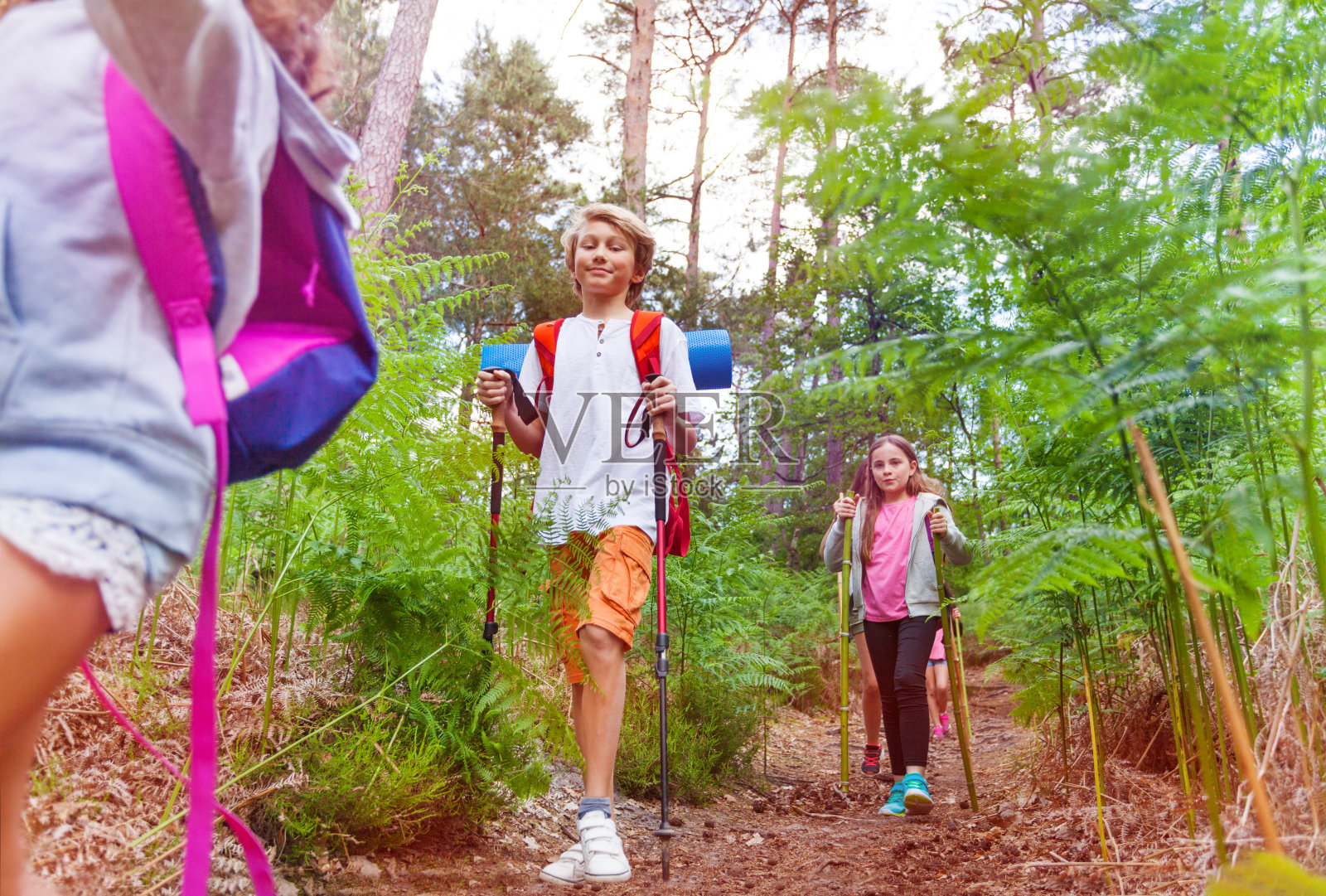 男孩和徒步旅行团在森林里散步照片摄影图片