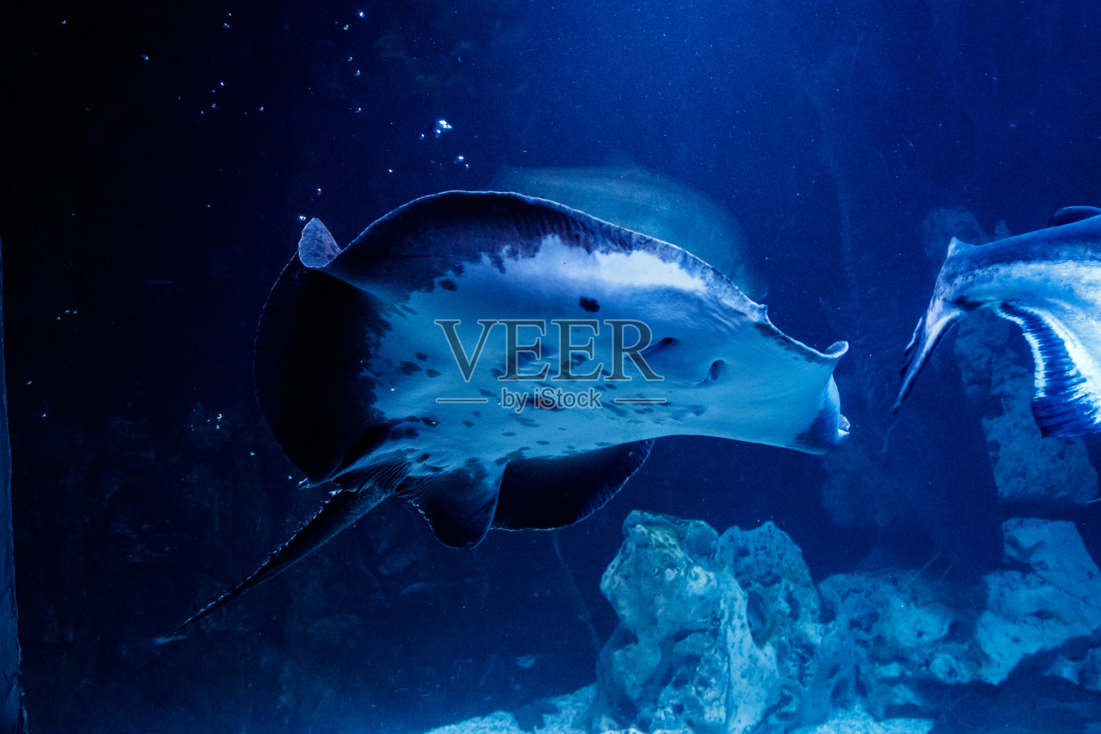 奥普雷德滑坡照片摄影图片