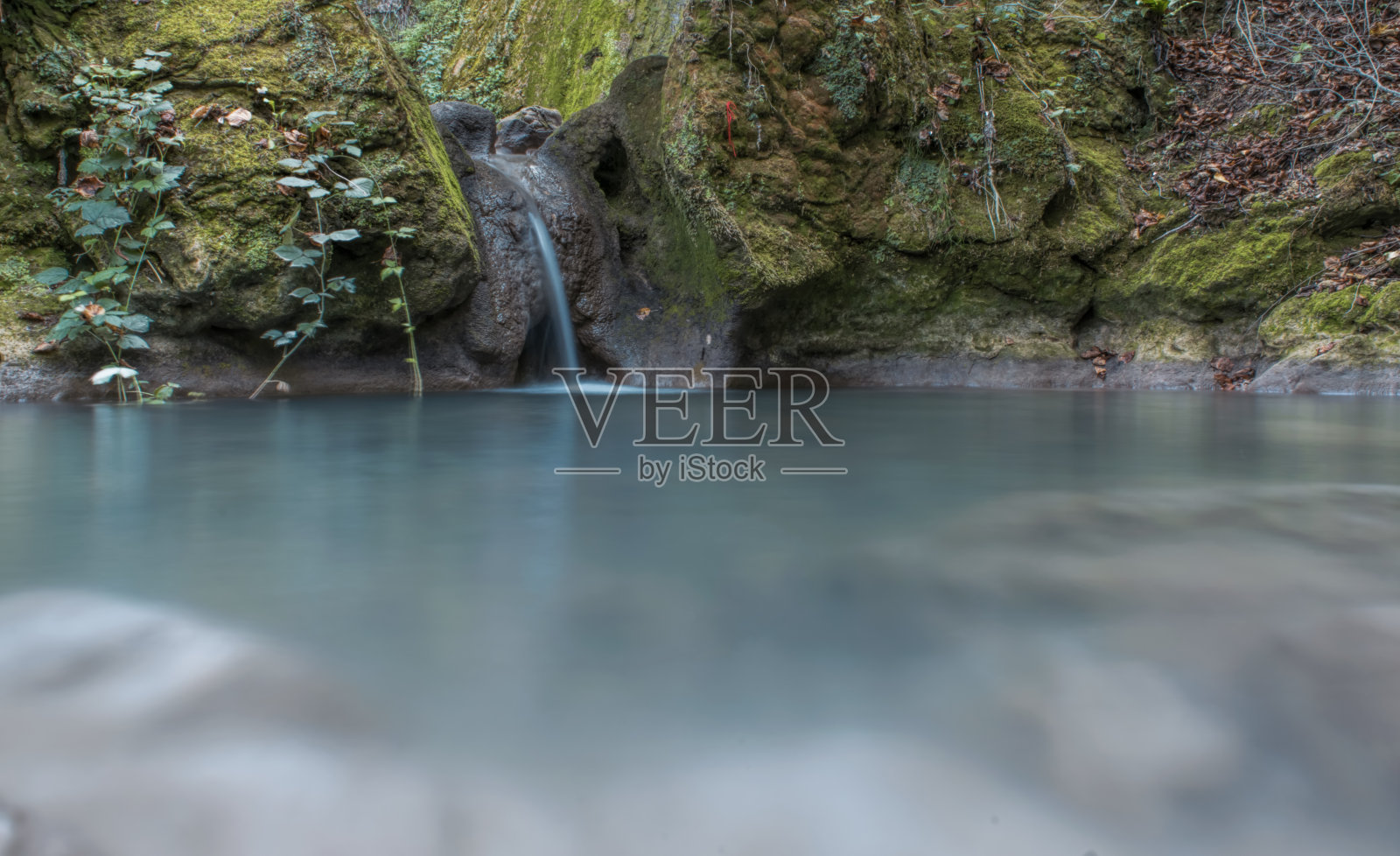 美丽的大自然照片摄影图片