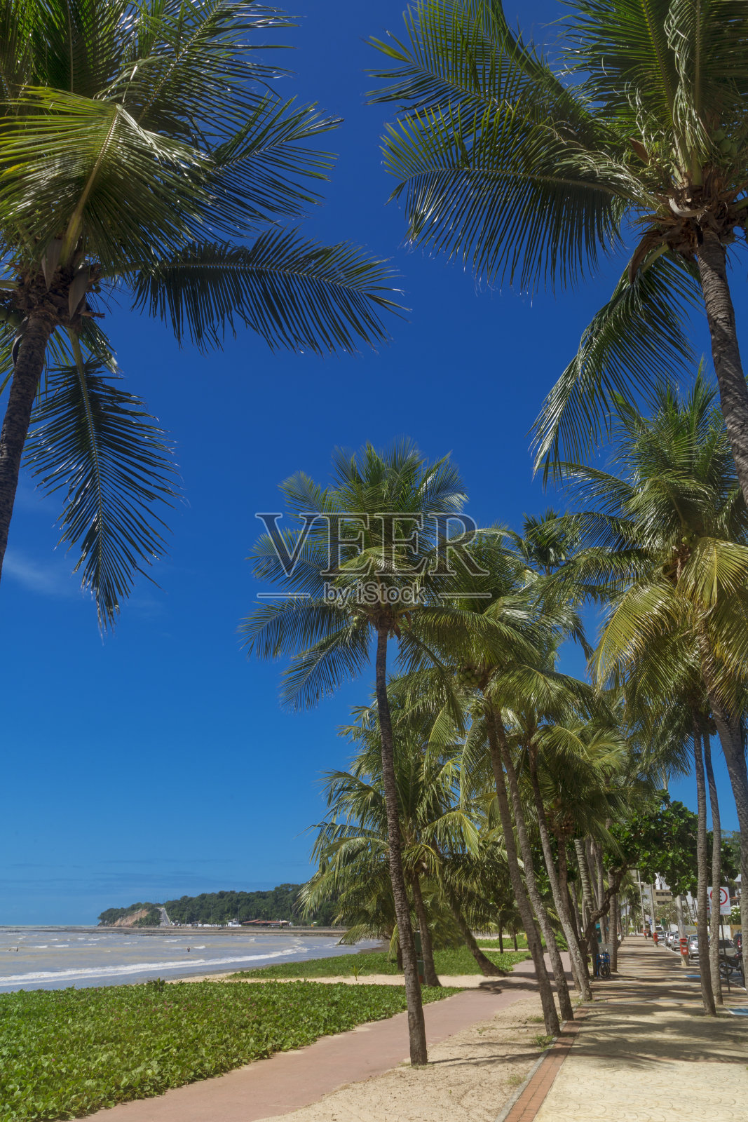 Paraiba州首府Sunny Joao Pessoa照片摄影图片