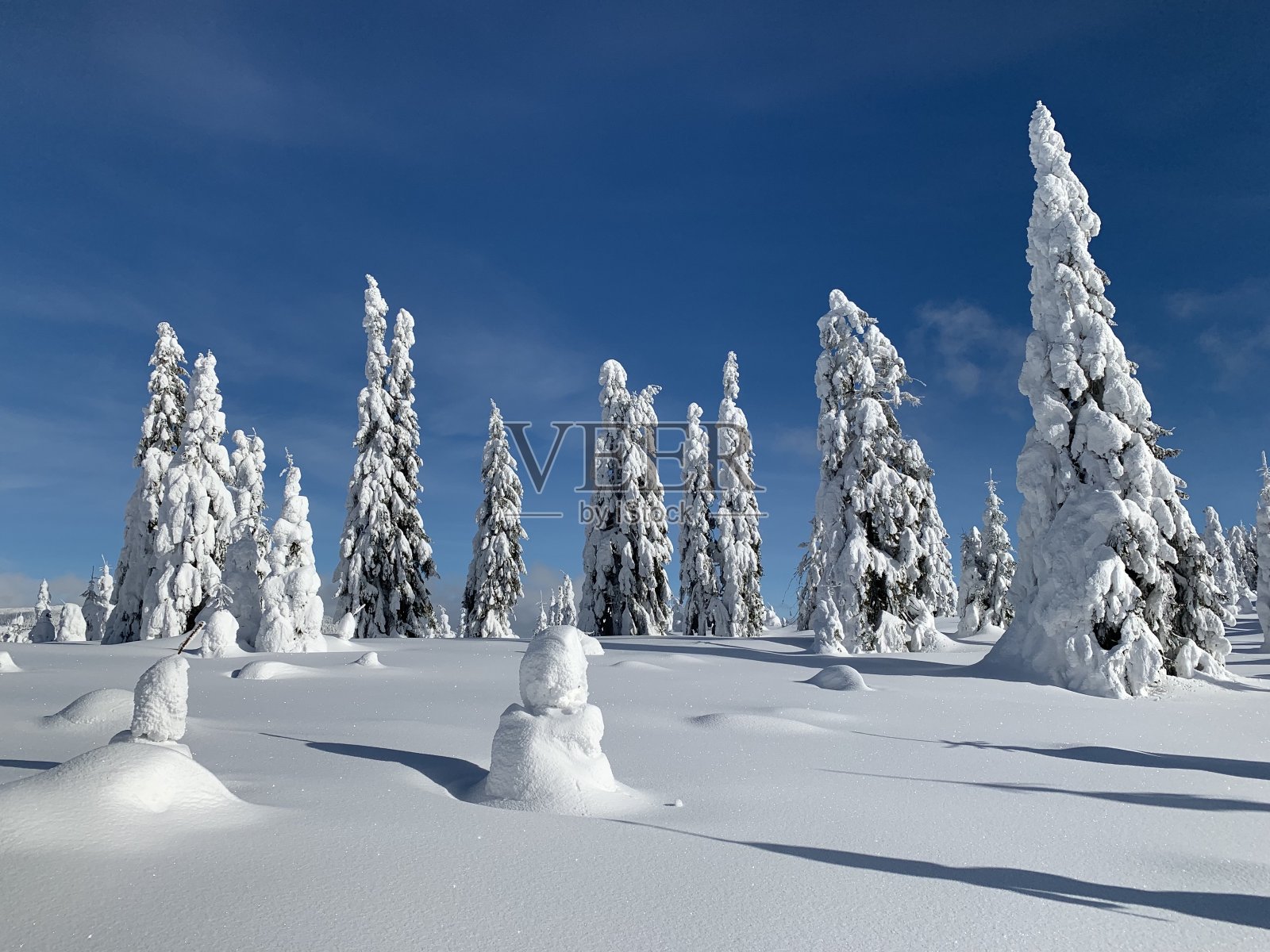 冬季景观照片摄影图片