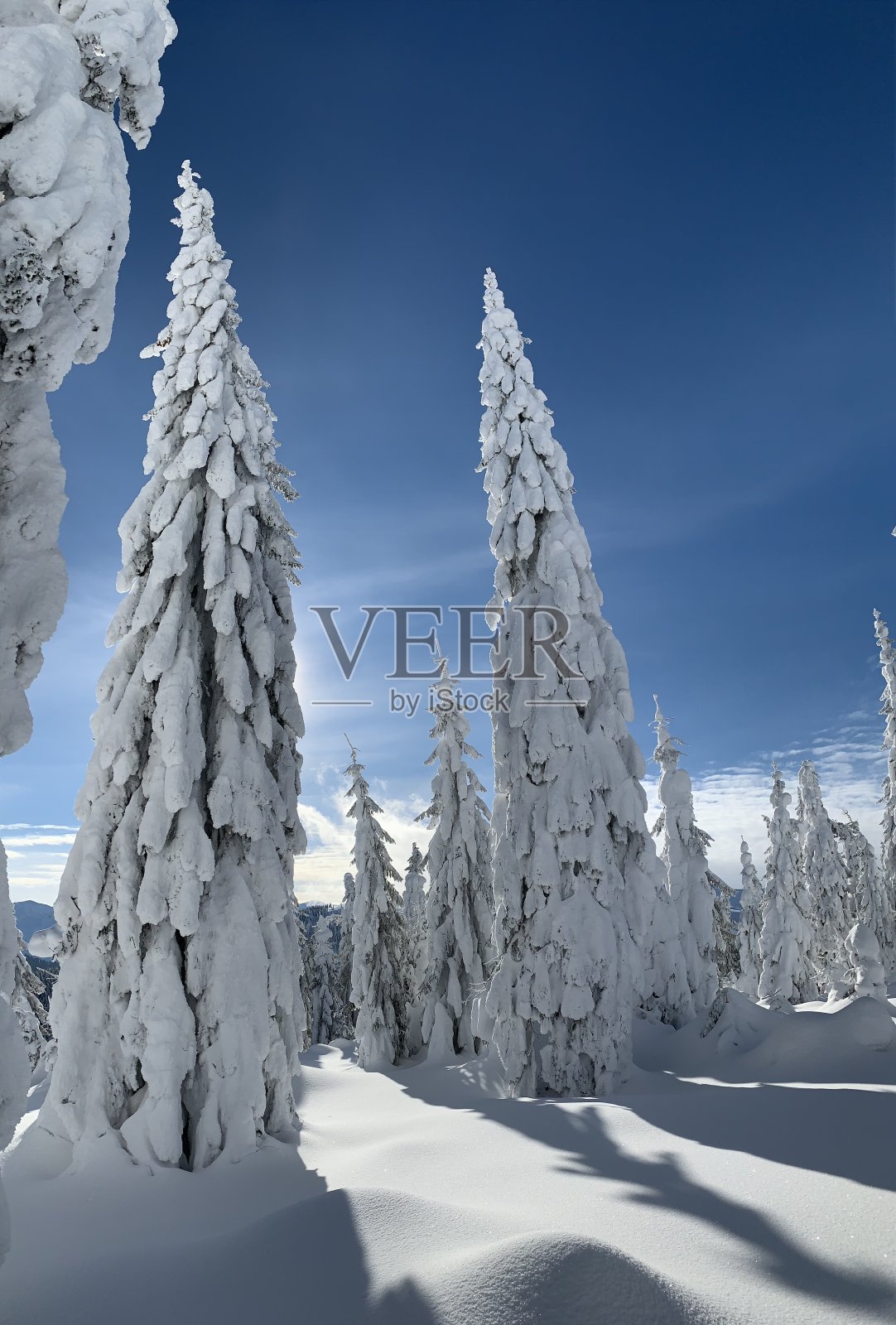 冬季景观照片摄影图片