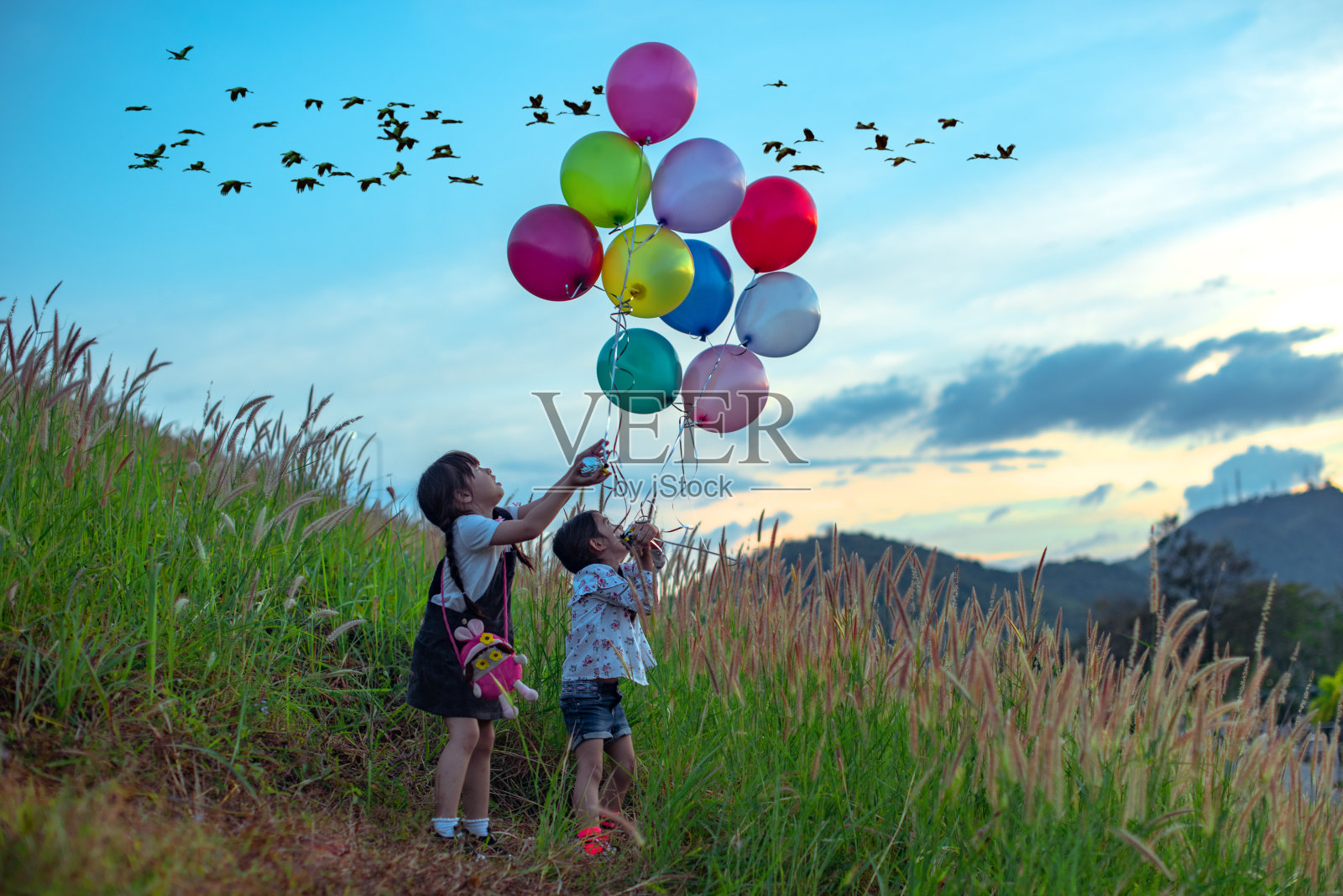 在自然照片摄影图片