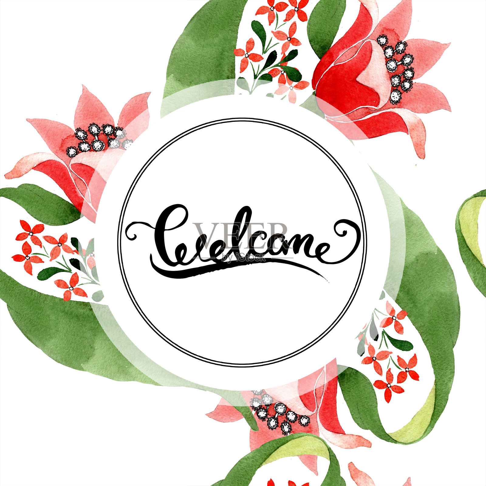 红色的植物花。水彩背景插图集。边框装饰方形。插画图片素材