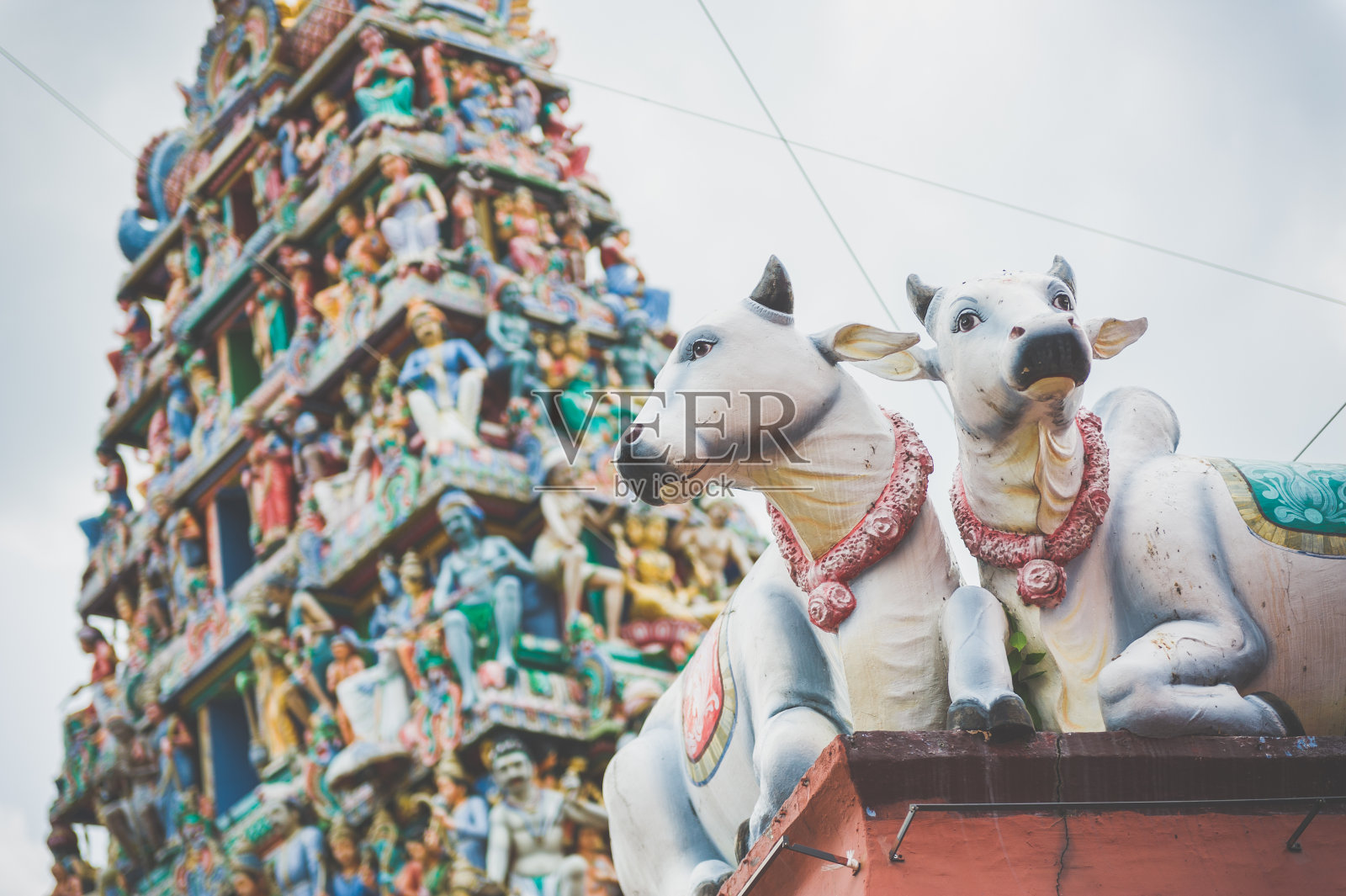 印度的寺庙照片摄影图片