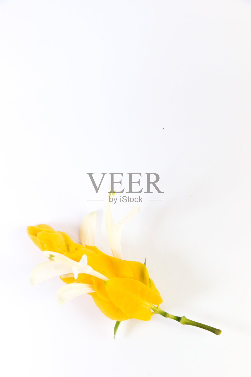 金色的蜡烛照片摄影图片