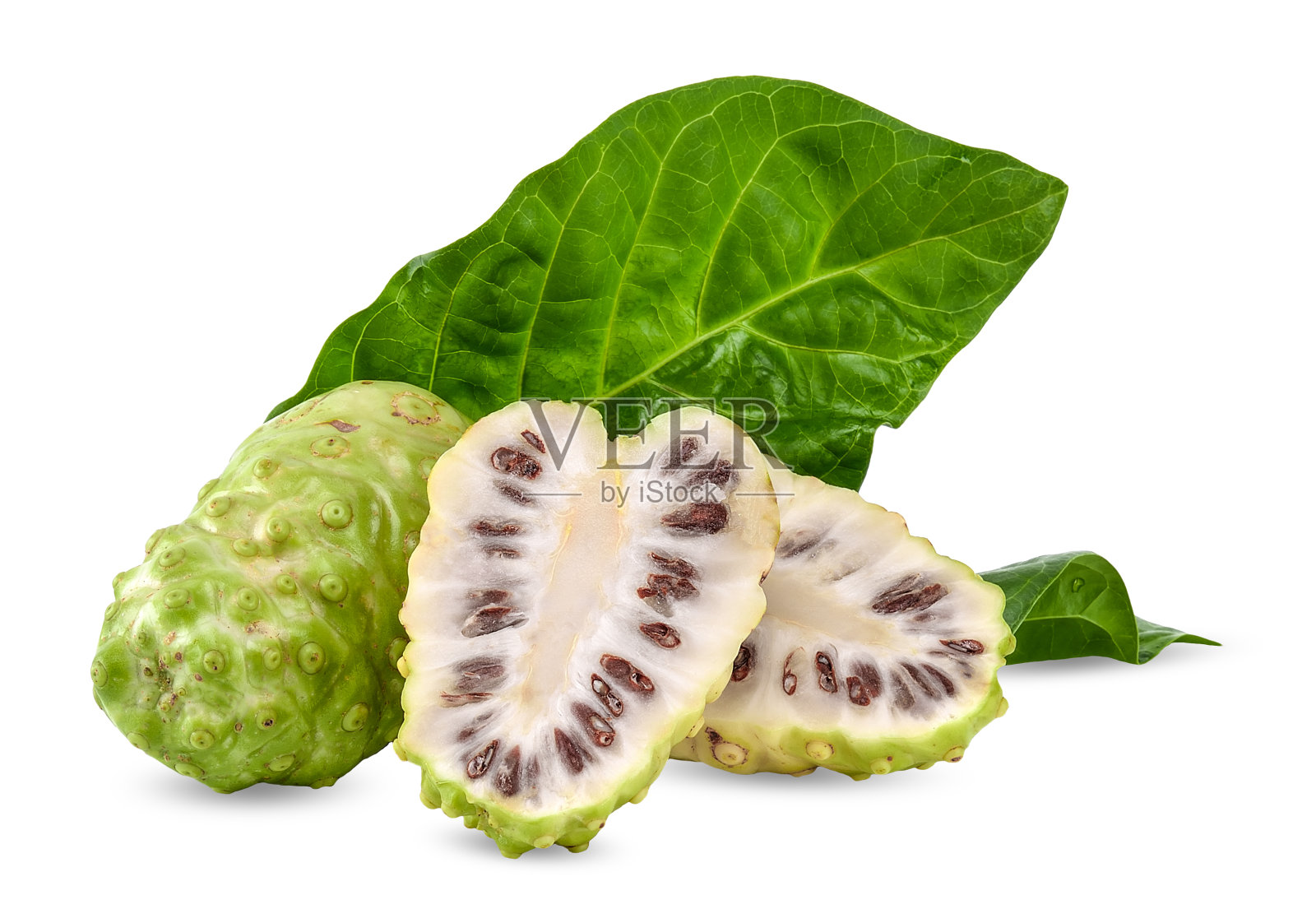 诺尼孤立的白色裁剪路径照片摄影图片