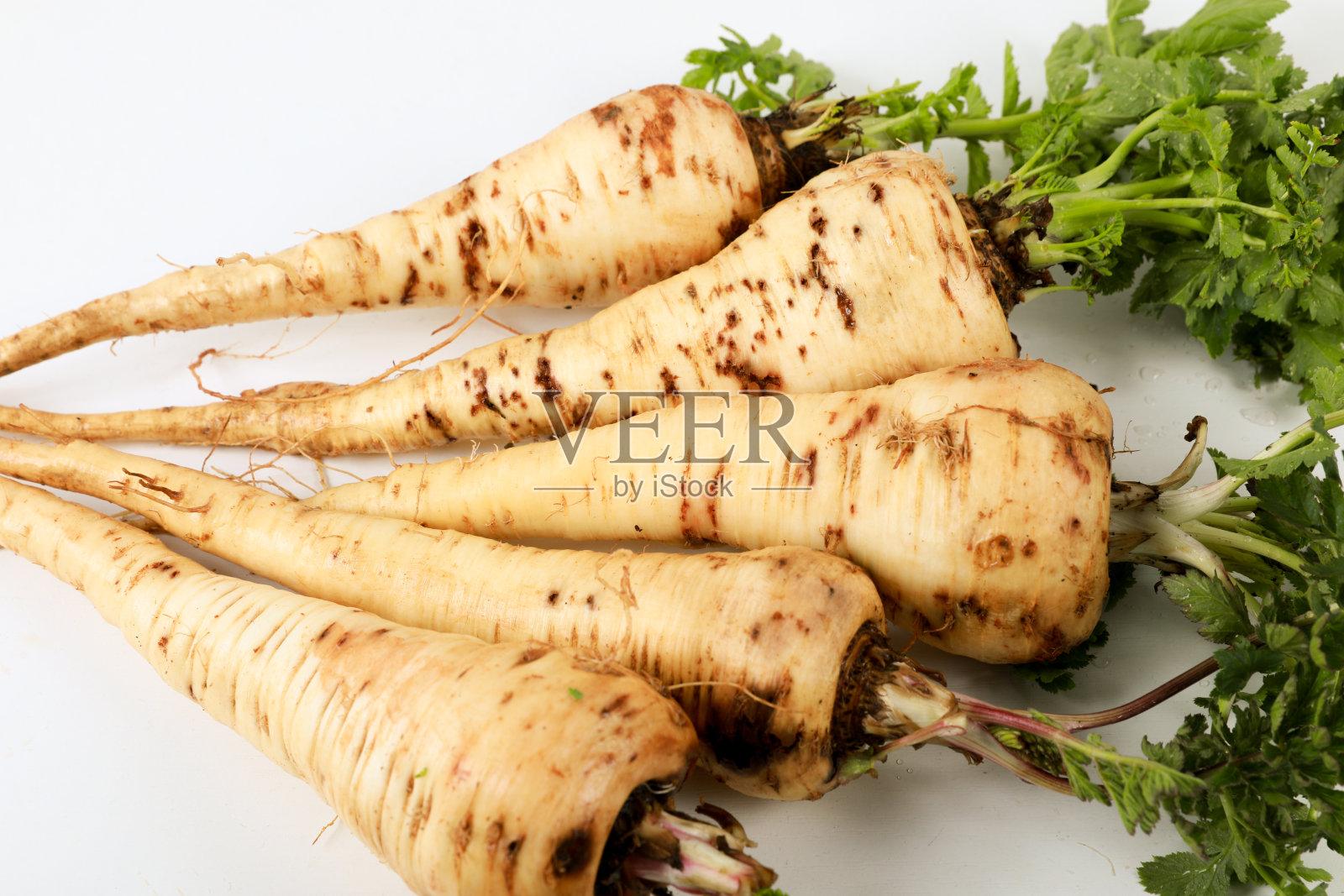 欧洲防风草。新的欧洲防风草。用欧芹糊在白色背景上。一些新鲜的欧防风和欧芹。Petrushevye草。新鲜的蔬菜。照片摄影图片