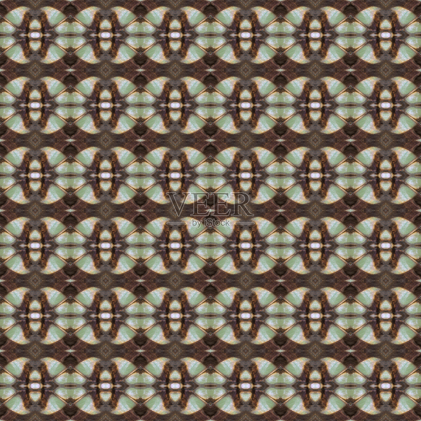 无缝图案由彩色蝴蝶翅膀规模为背景纹理照片摄影图片