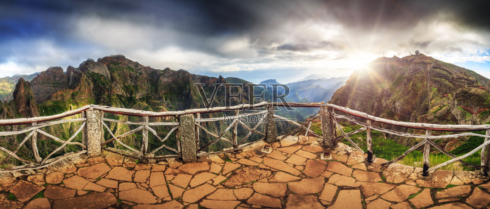 秃鹰在阳光下筑巢照片摄影图片