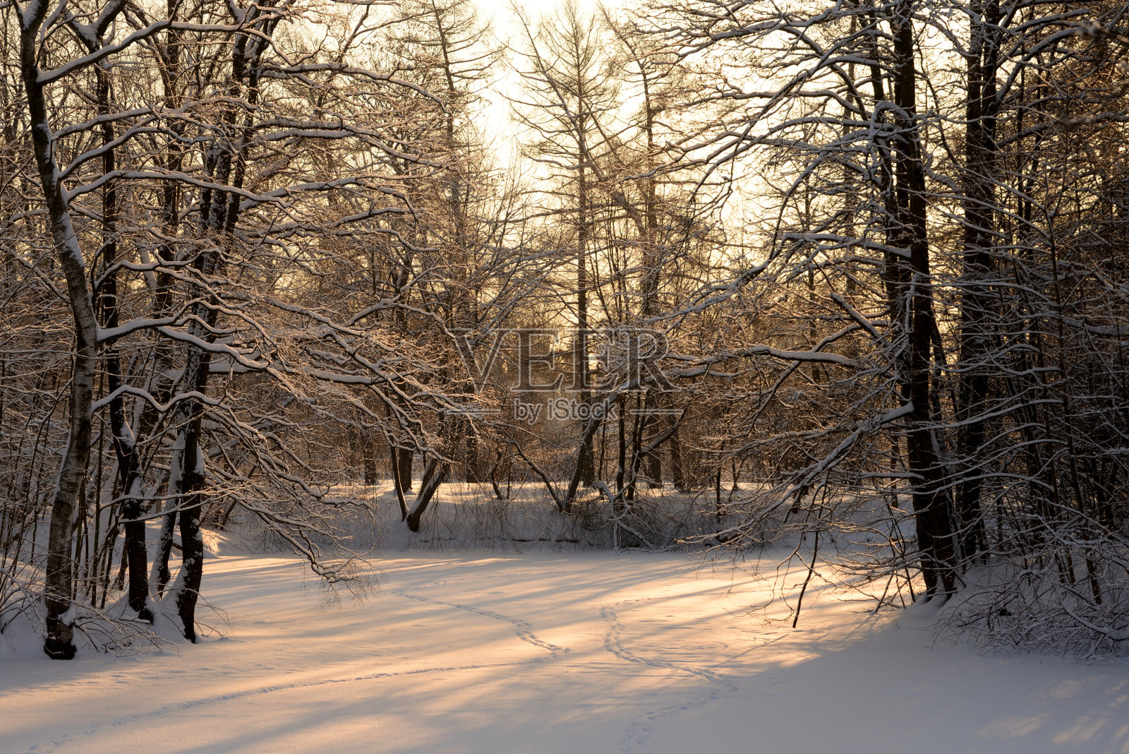 冬天日落时结冰的池塘。照片摄影图片