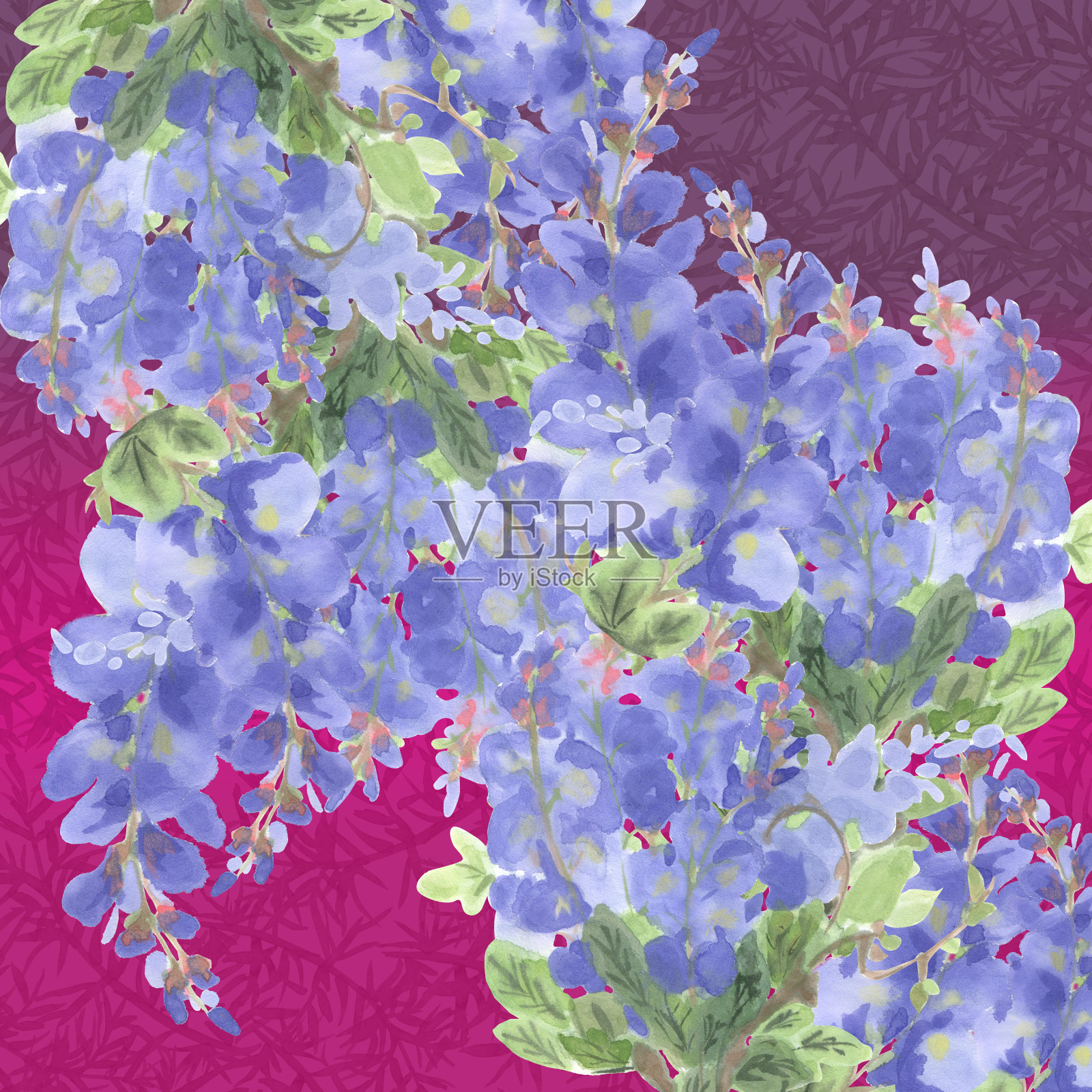 紫藤的抽象枝条在洋红色的背景与植物装饰设计模板素材