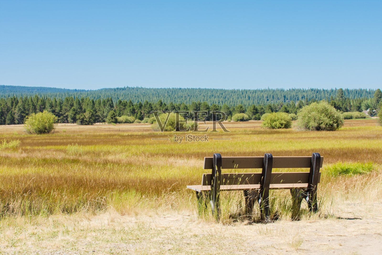 长凳在草地俯瞰风景照片摄影图片