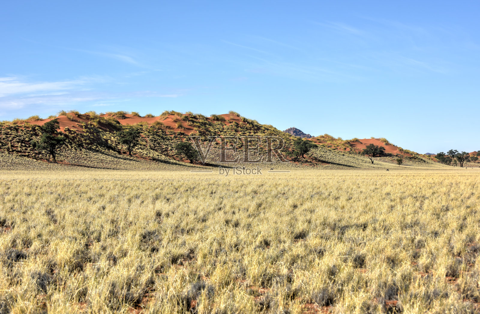 沙漠景观-纳米布兰,纳米比亚照片摄影图片