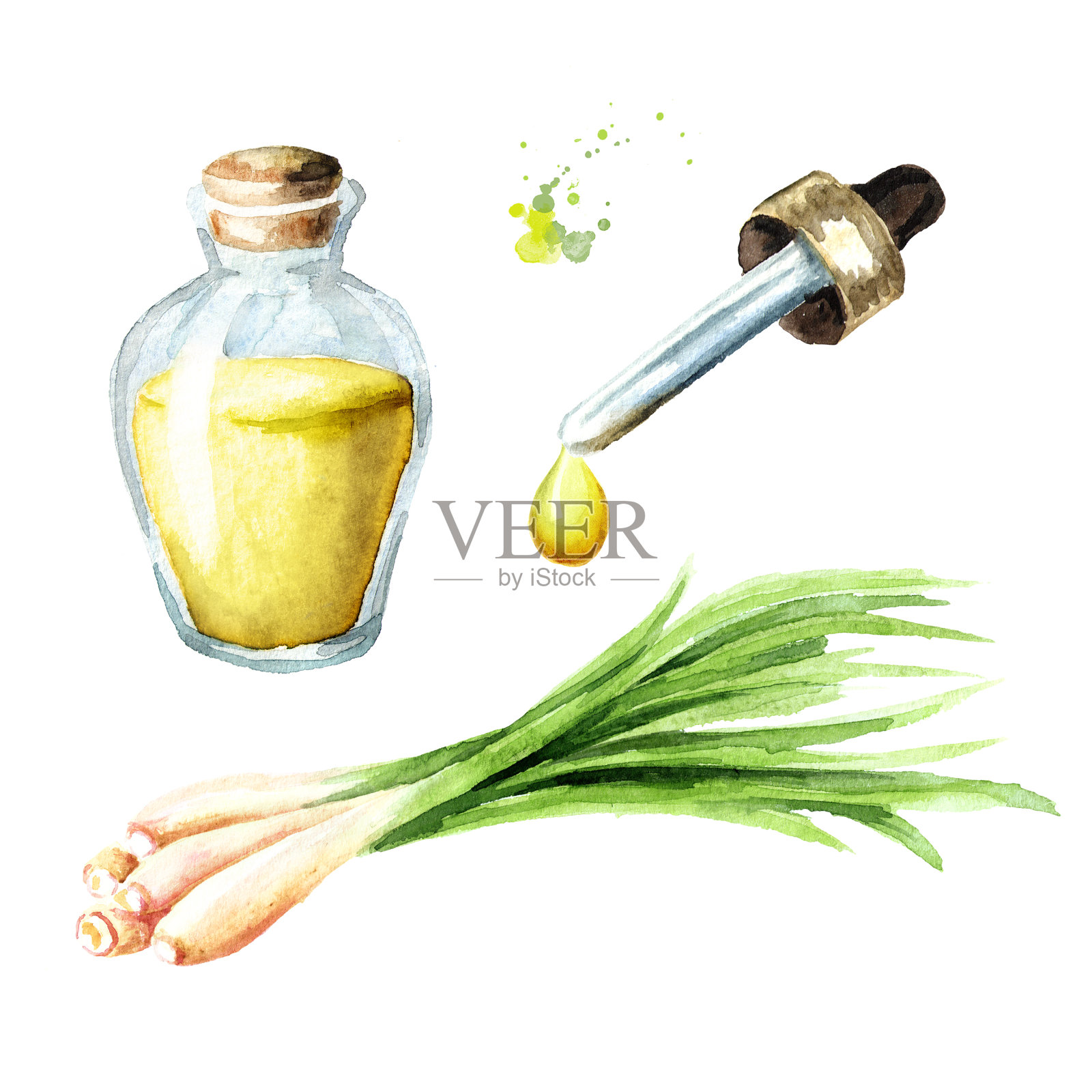 柠檬草精油套装。水疗中心的概念。水彩手绘插图,孤立的白色背景插画图片素材