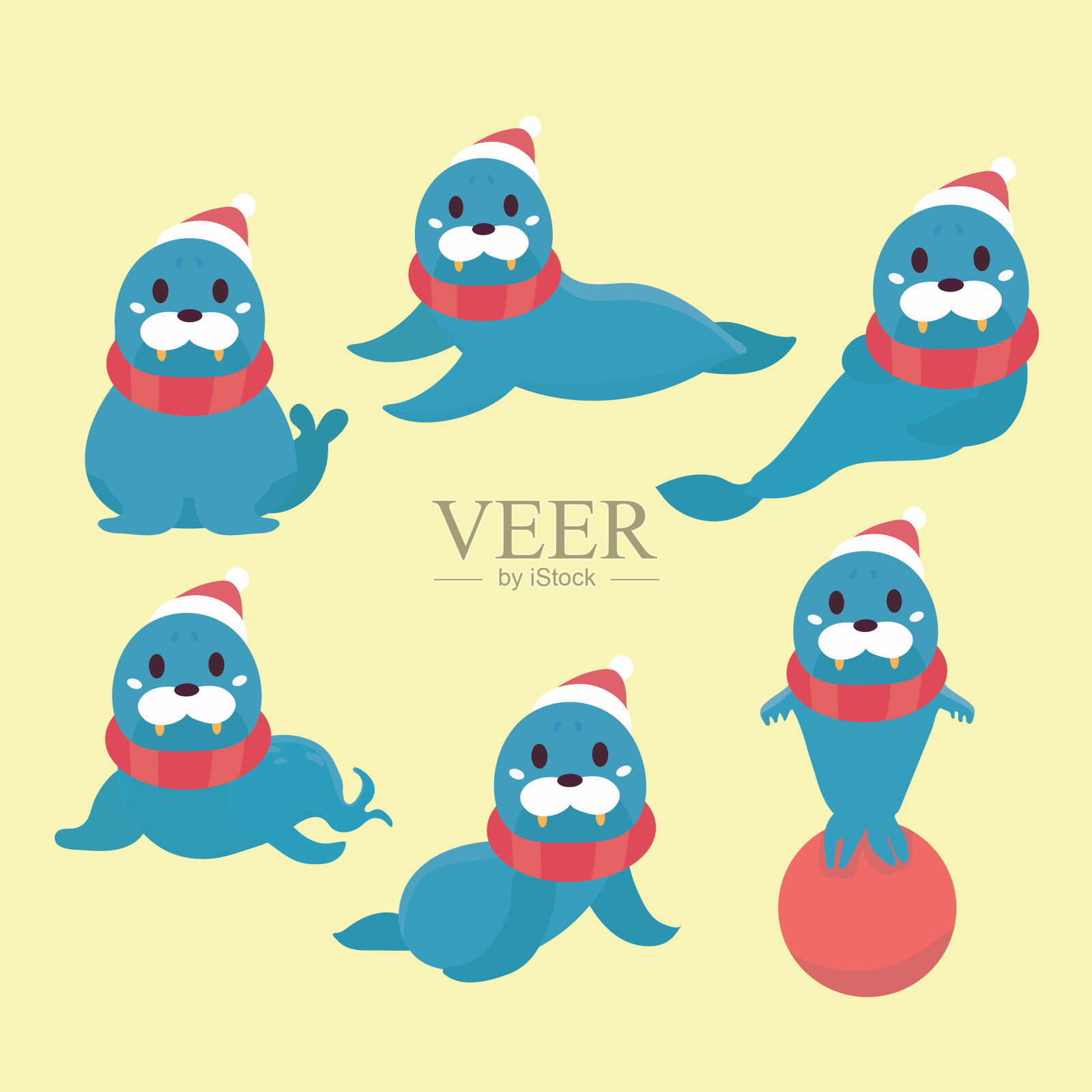 一组不同的海狮。插画图片素材