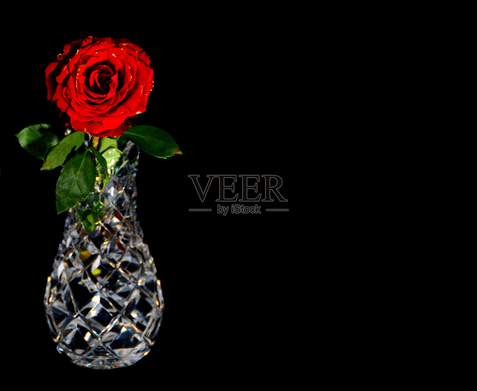 黑色背景的水晶花瓶上的红玫瑰。照片摄影图片