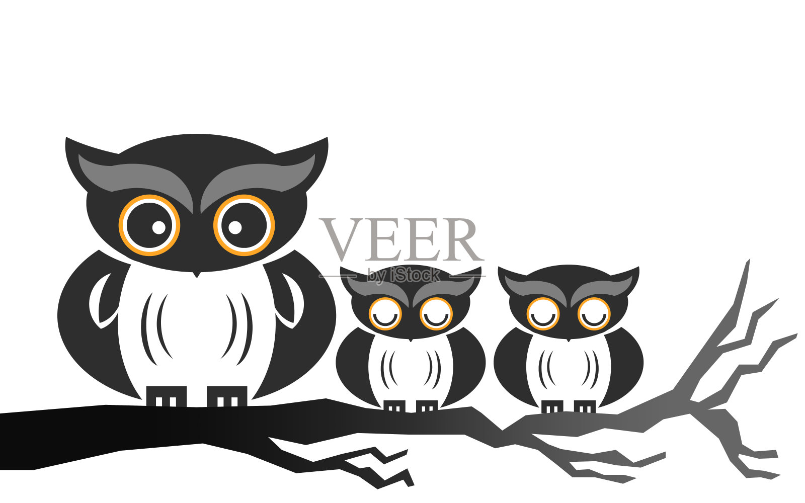 猫头鹰在树枝上照片摄影图片