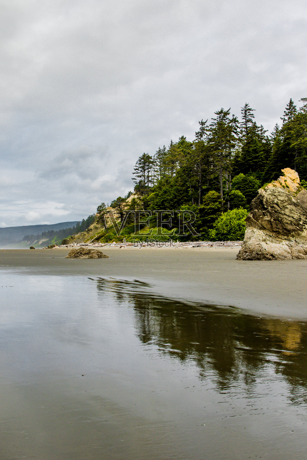 奥林匹克半岛海岸照片摄影图片
