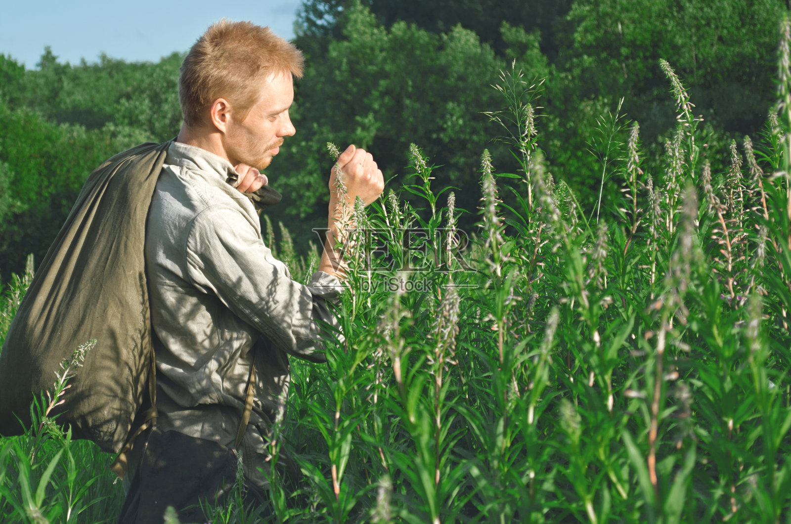一个穿着旧军装的人站在田野里看着高大的草本植物照片摄影图片