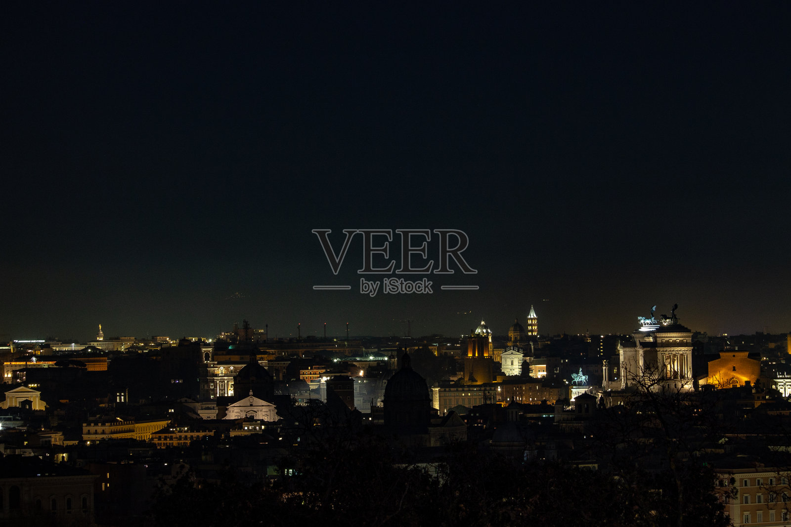 圣彼得的穹顶出现在树枝上。照片摄影图片