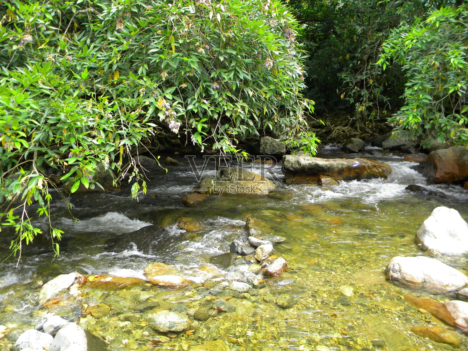 干净的水河照片摄影图片