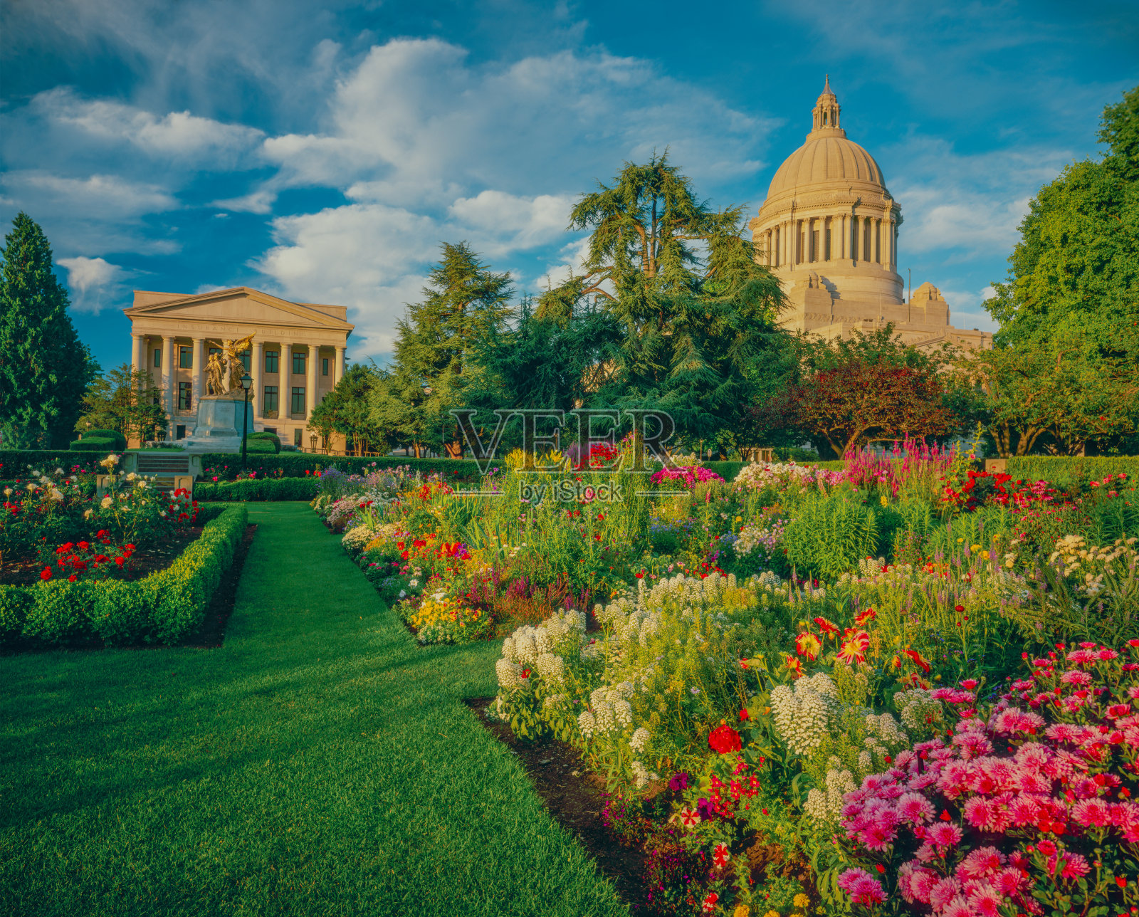 华盛顿州国会大厦和花园,奥林匹亚照片摄影图片