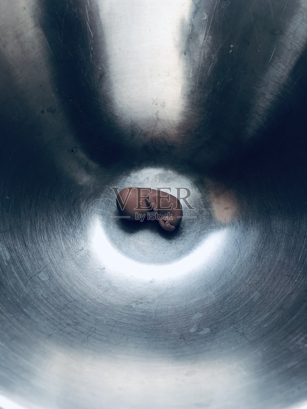 胎儿照片摄影图片