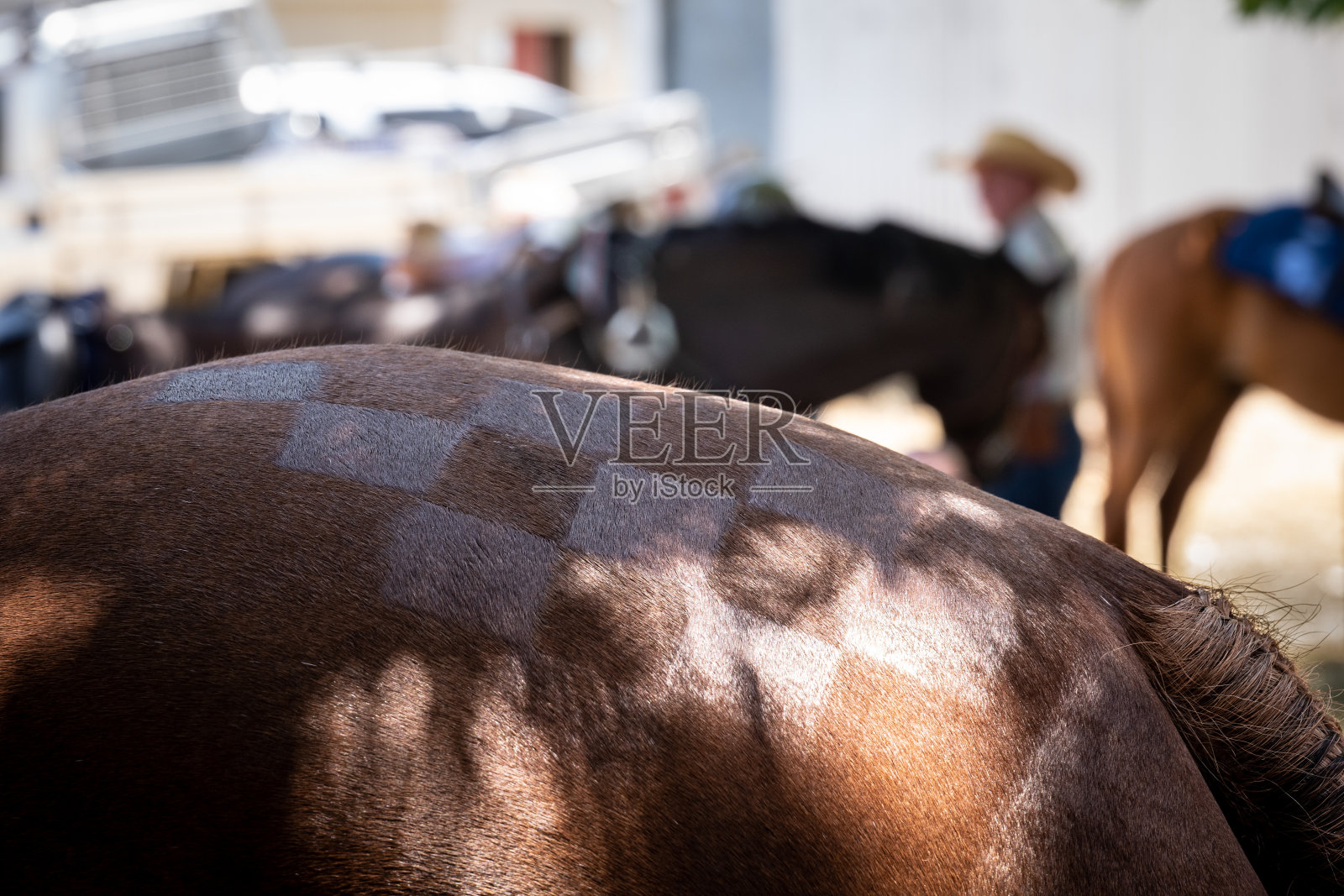 国家显示照片摄影图片