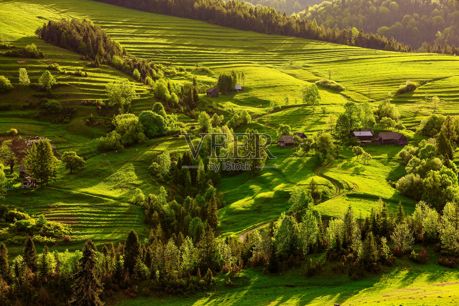 皮耶尼照片摄影图片