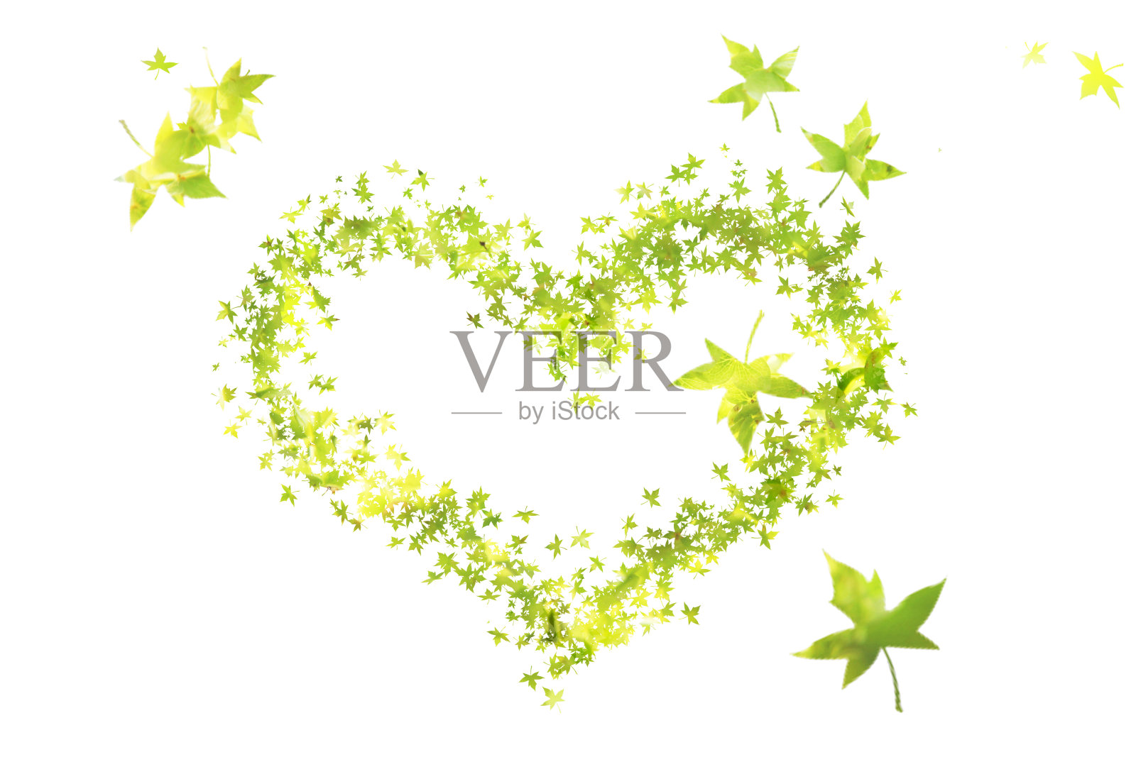 枫叶的秋心照片摄影图片