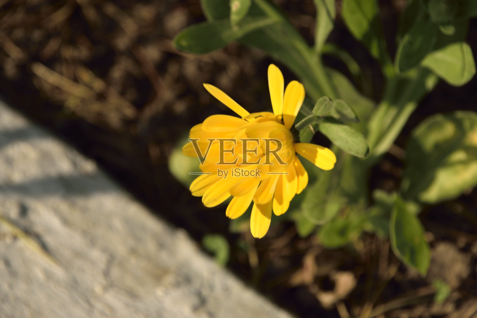 不可思议的印度照片摄影图片